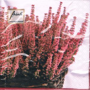 hearbst Προσφορά-1,30€