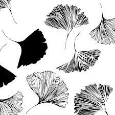 Ginkgo ΠΕΡΙΟΡΙΣΜΕΝΑ ΤΕΜΑΧΙΑ