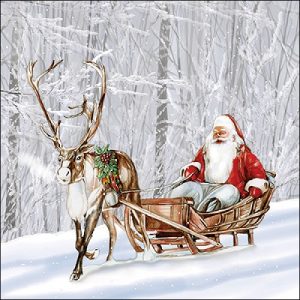 Santa in snowy forest
