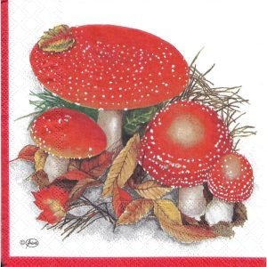 Fausse oronge Προσφορά-1,30€