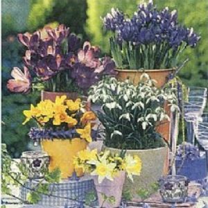 Spring ΠΕΡΙΟΡΙΣΜΕΝΑ ΤΕΜΑΧΙΑ